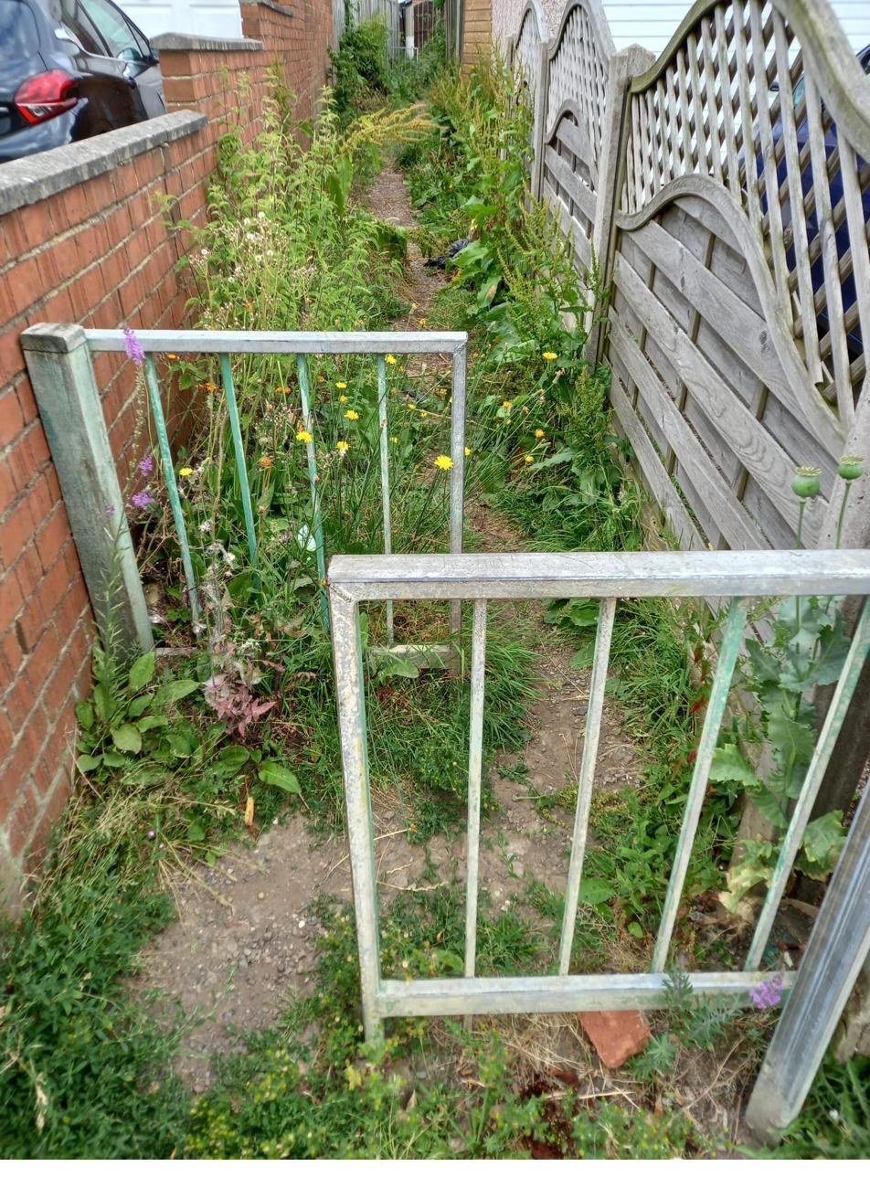 Overgrown ginnel before clearance