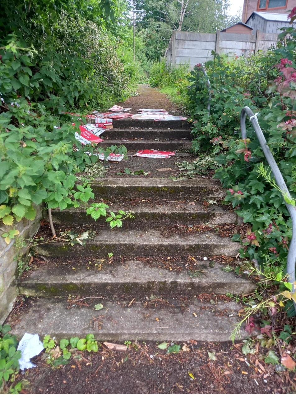 Litter-strewn public steps before clearance
